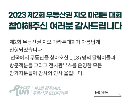 안내