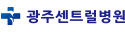 광주센트럴병원