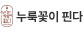 누룩꽃